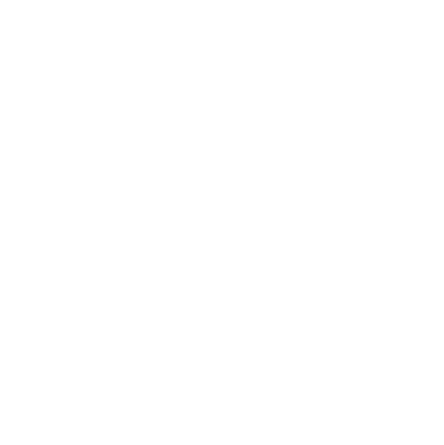 American Home IG Logo