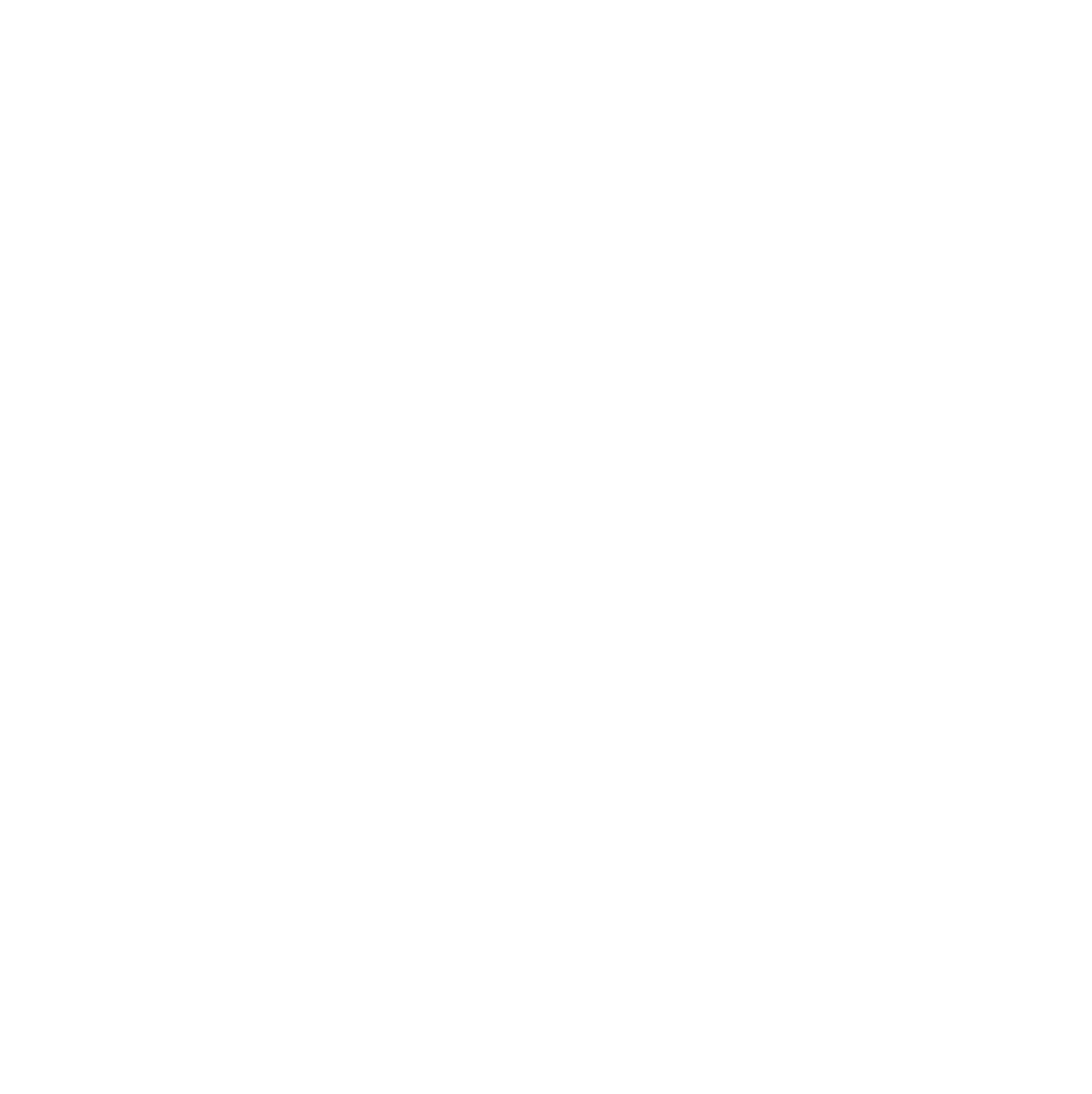 American Home YT Logo